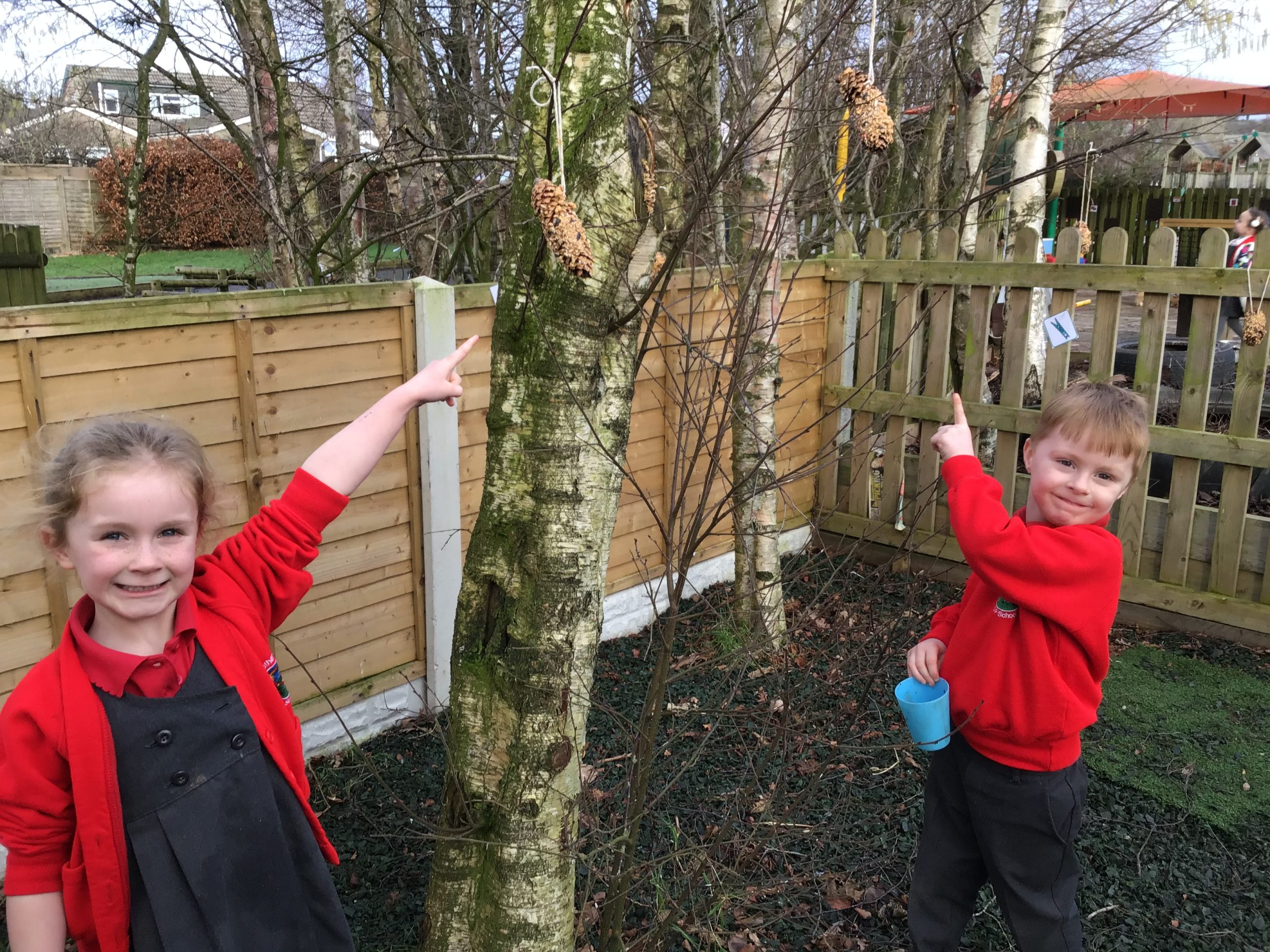 Making bird feeders Nether Kellet Primary School