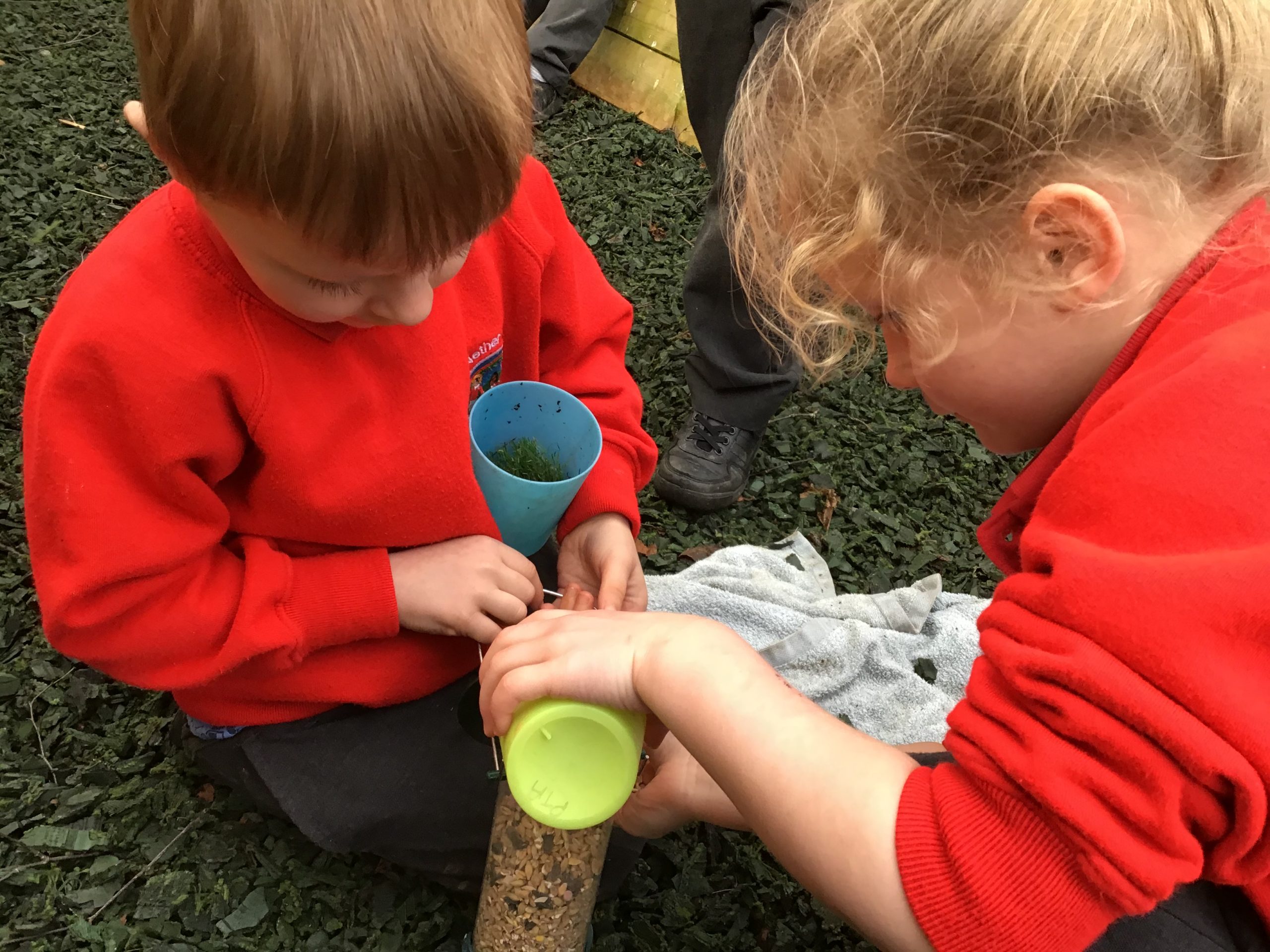 Making bird feeders Nether Kellet Primary School